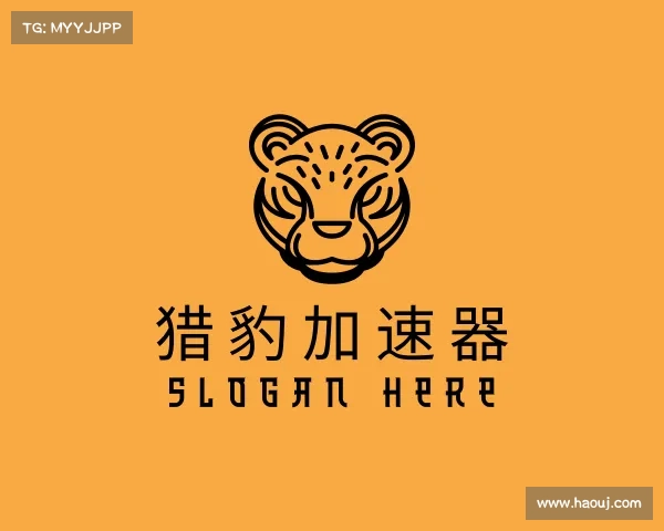 知道猎豹加速器